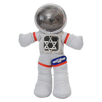 ISO9001 PP Cotton Filled 30cm Kids Teddy Bear Stuffed Toys